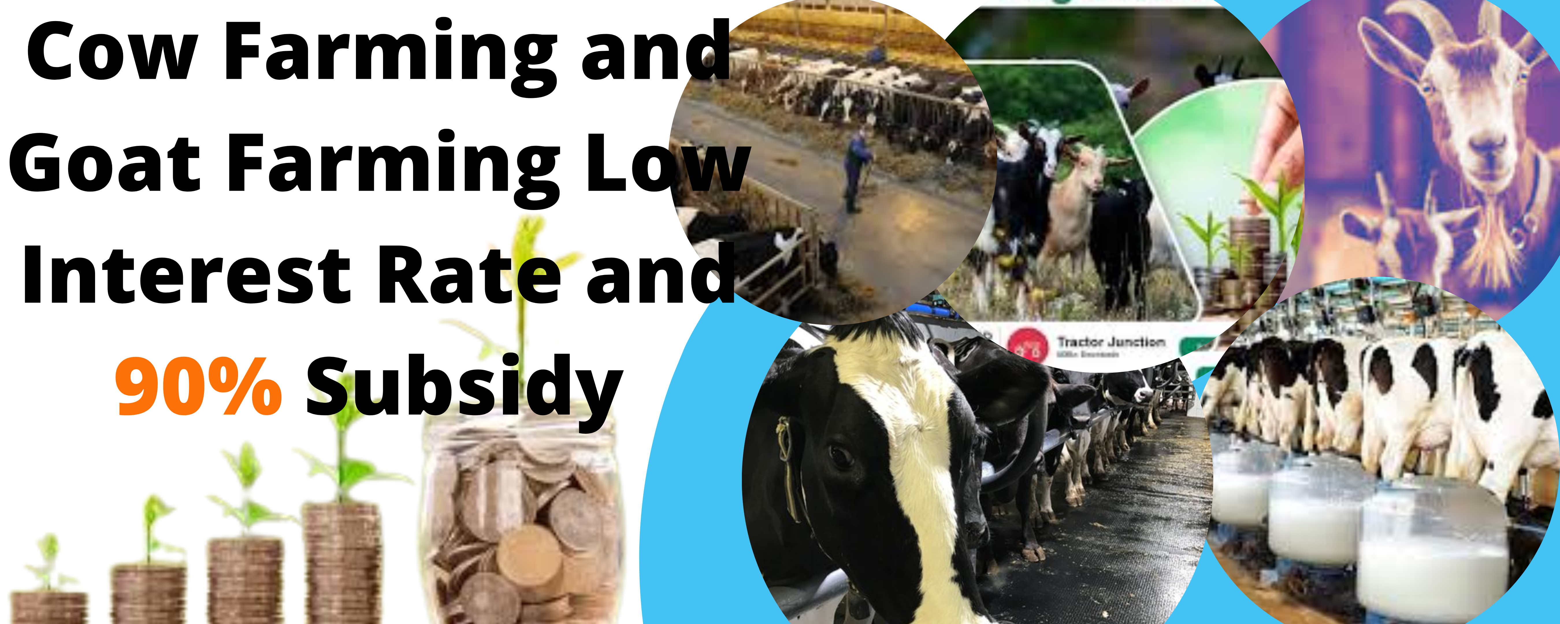 Cow-Farming-and-Goat-Farming-Low-Interest-Rate-and-90-Subsidy-1-1